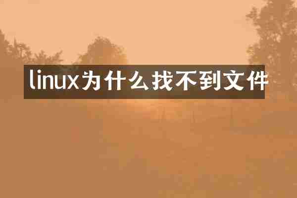 linux为什么找不到文件