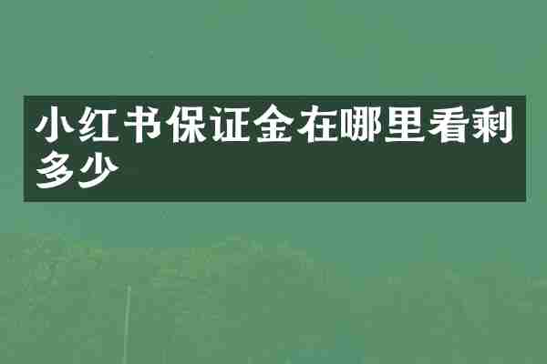 小红书保证金在哪里看剩多少