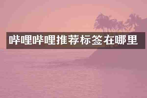 哔哩哔哩推荐标签在哪里