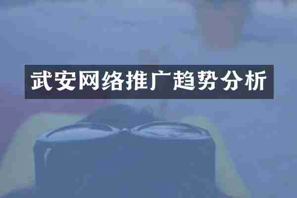 武安网络推广趋势分析