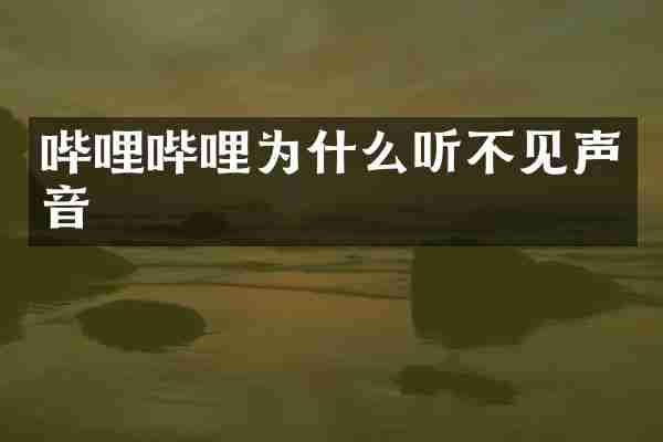 哔哩哔哩为什么听不见声音