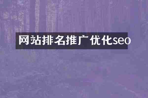 网站排名推广优化seo