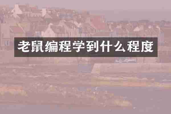 老鼠编程学到什么程度