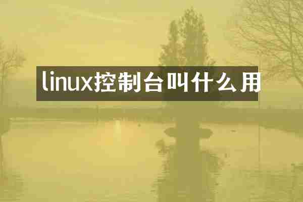 linux控制台叫什么用