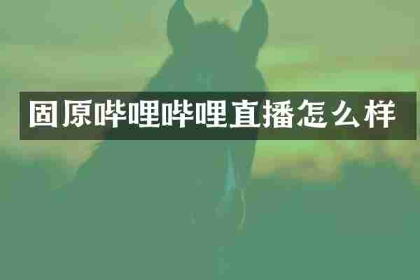 固原哔哩哔哩直播怎么样