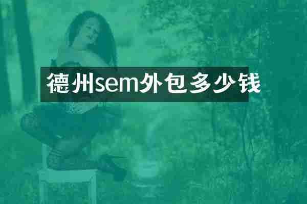 德州sem外包多少钱
