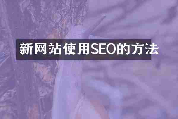 新网站使用SEO的方法