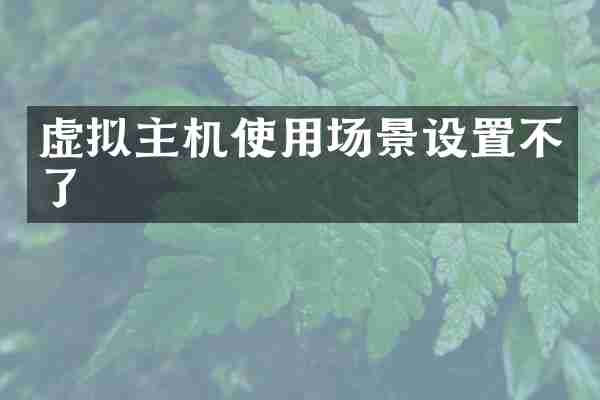 虚拟主机使用场景设置不了