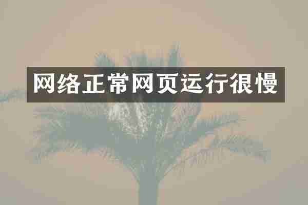 网络正常网页运行很慢