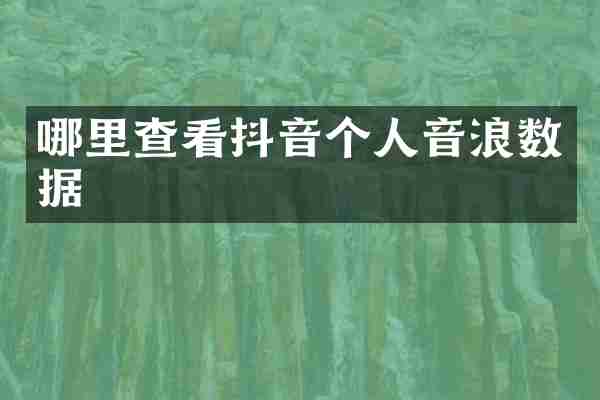 哪里查看抖音个人音浪数据