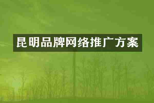 昆明品牌网络推广方案