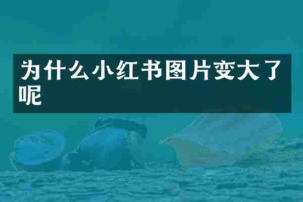 为什么小红书图片变大了呢