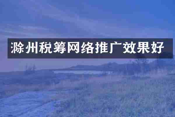 滁州税筹网络推广效果好
