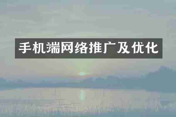 手机端网络推广及优化