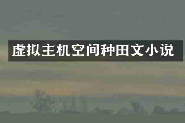 虚拟主机空间种田文小说
