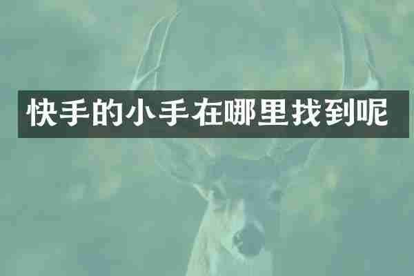 快手的小手在哪里找到呢