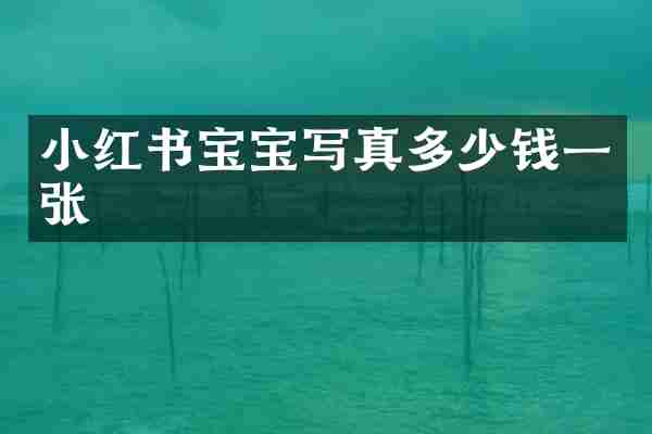 小红书宝宝写真多少钱一张