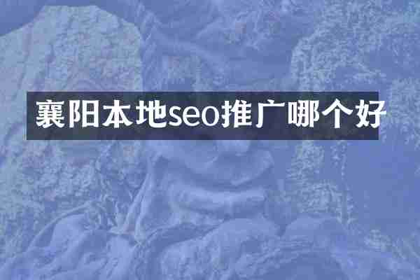 襄阳本地seo推广哪个好