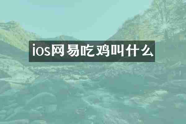 ios网易吃鸡叫什么