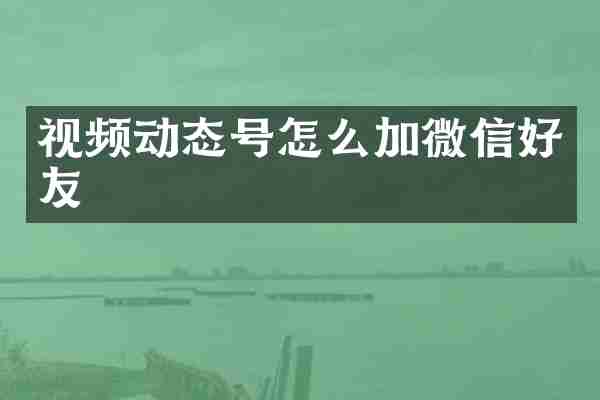 视频动态号怎么加微信好友