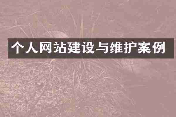 个人网站建设与维护案例