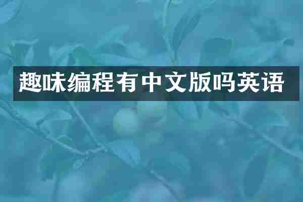 趣味编程有中文版吗英语