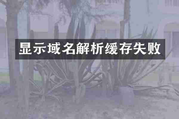 显示域名解析缓存失败