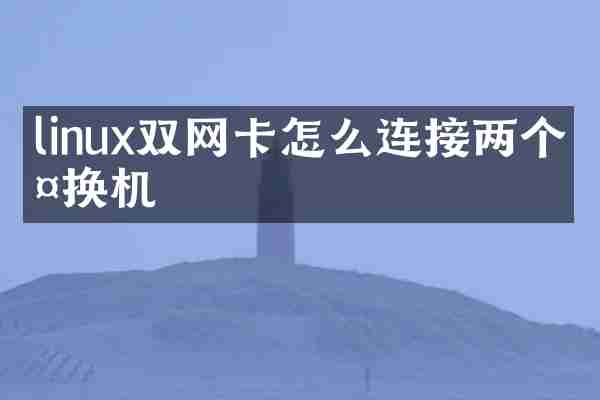 linux双网卡怎么连接两个交换机