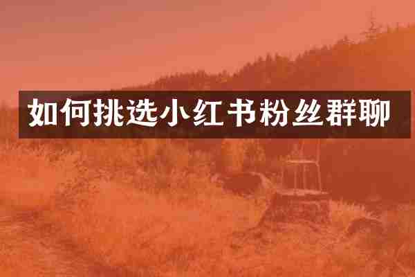 如何挑选小红书粉丝群聊