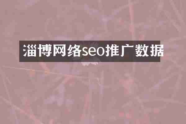 淄博网络seo推广数据