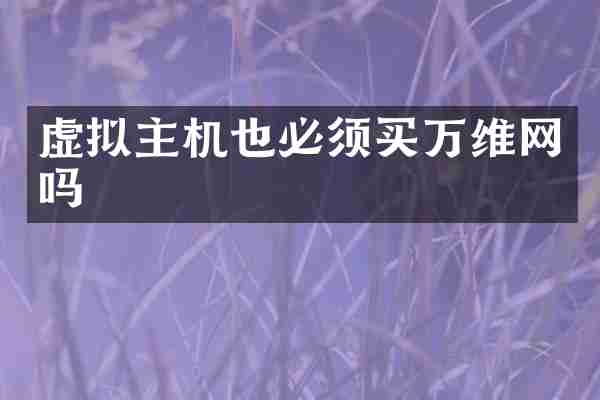 虚拟主机也必须买万维网吗