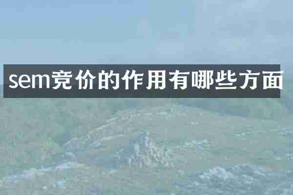 sem竞价的作用有哪些方面