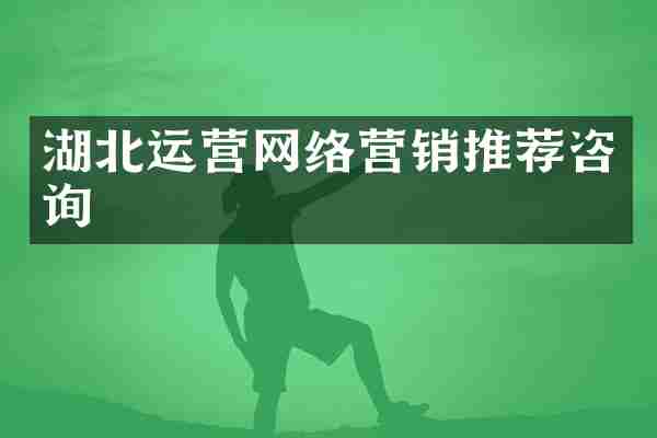 湖北运营网络营销推荐咨询