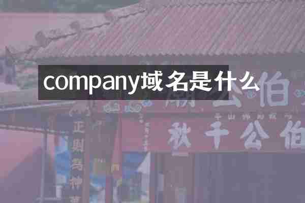 company域名是什么