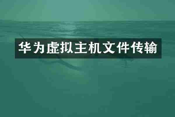 华为虚拟主机文件传输