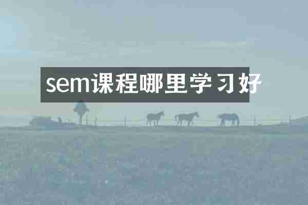 sem课程哪里学习好