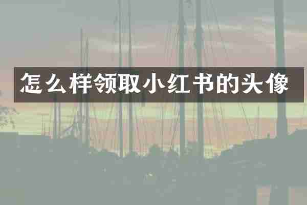 怎么样领取小红书的头像
