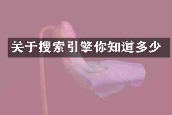 关于搜索引擎你知道多少