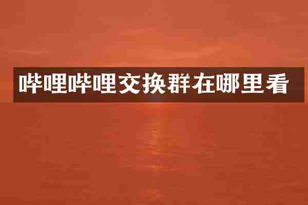 哔哩哔哩交换群在哪里看