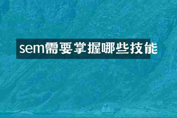 sem需要掌握哪些技能