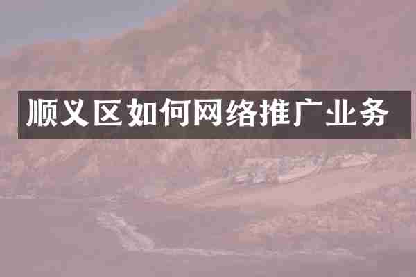 顺义区如何网络推广业务