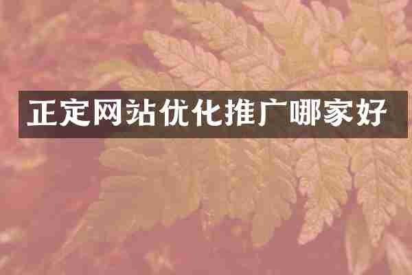 正定网站优化推广哪家好