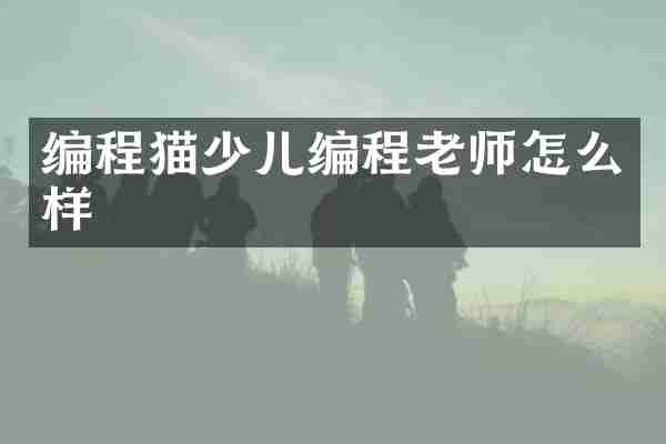 编程猫少儿编程老师怎么样