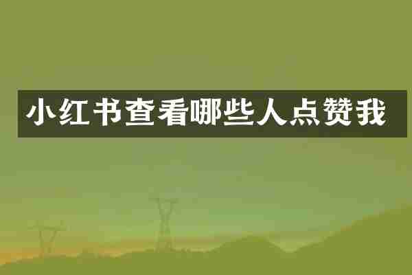 小红书查看哪些人点赞我