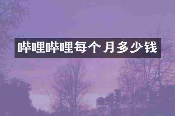 哔哩哔哩每个月多少钱