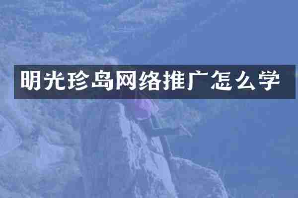 明光珍岛网络推广怎么学