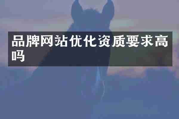 品牌网站优化资质要求高吗
