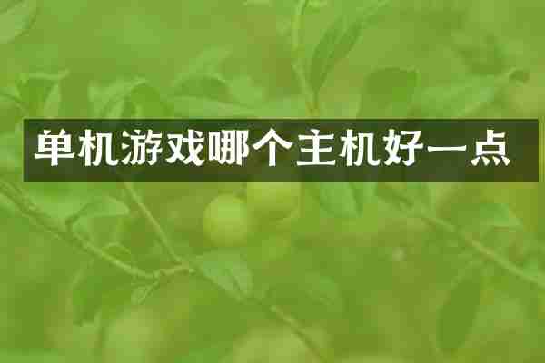 单机游戏哪个主机好一点