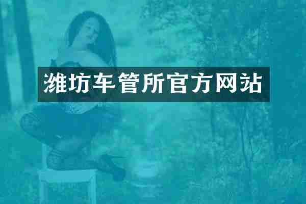 潍坊车管所官方网站