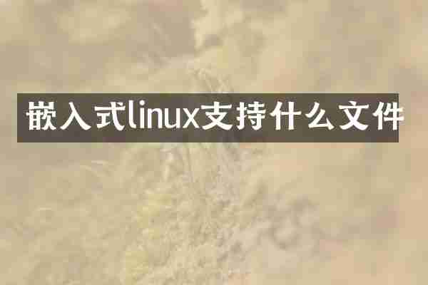 嵌入式linux支持什么文件
